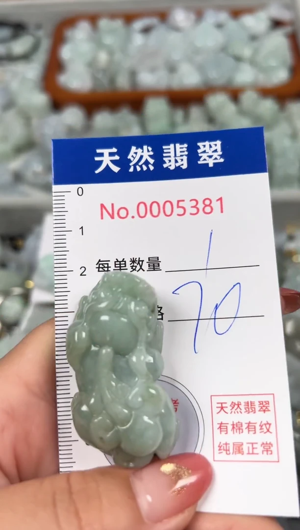 翡翠未镶嵌吊坠(不含链)5381