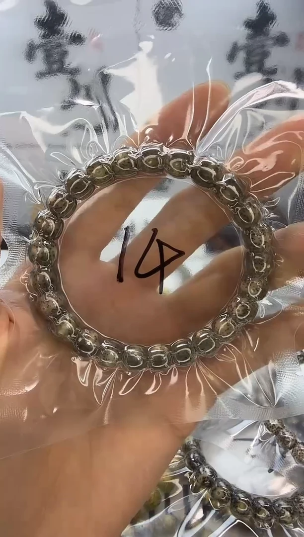 手串星月菩提9/8 黑冰  星点货 同枝果