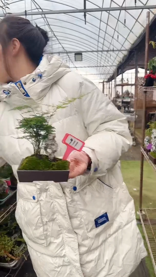 【闪购商品】911