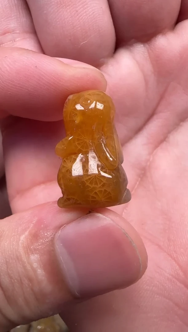 颈饰未镶嵌硅化珊瑚（珊瑚玉）107