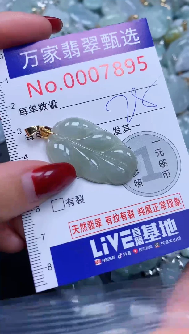 颈饰未镶嵌翡翠7895