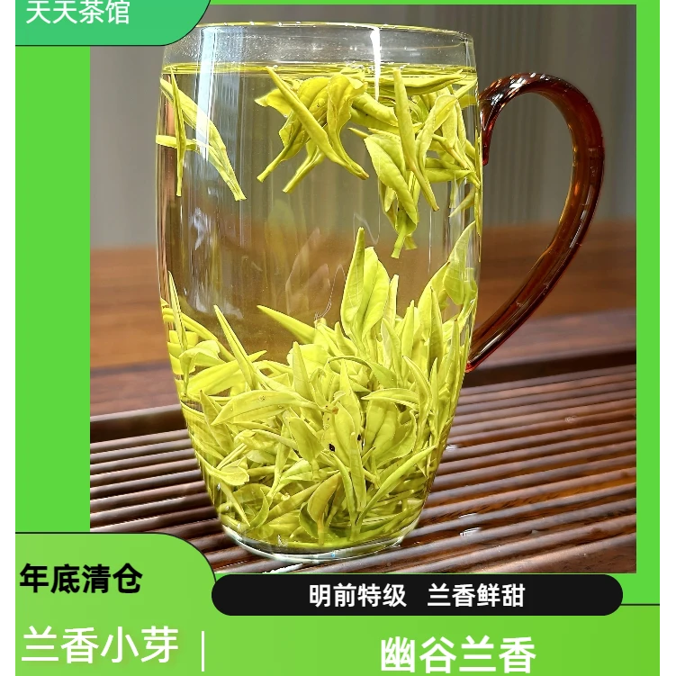 2号【昆铜小芽】2025年开山头采白茶  兰香高山茶叶鲜爽回甘