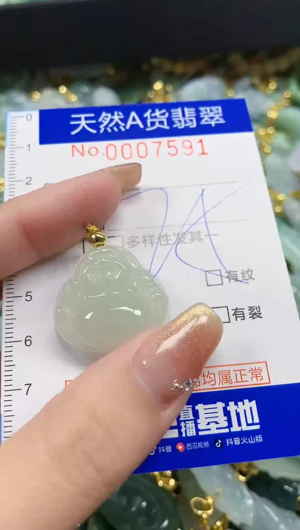 颈饰未镶嵌翡翠天然A货翡翠