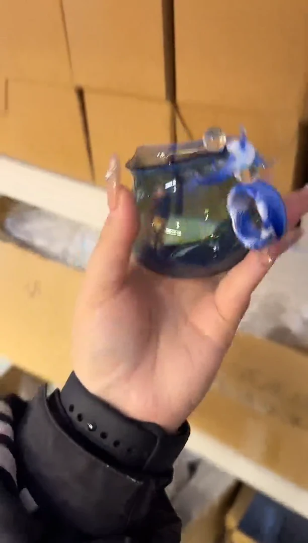 蓝色海豚公道杯