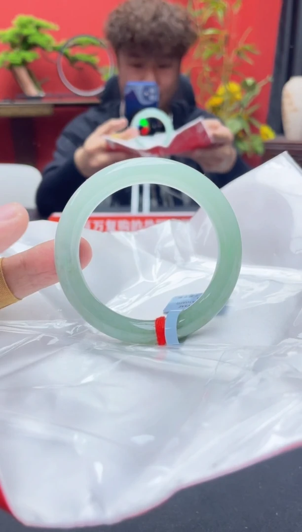 未镶嵌手镯翡翠12