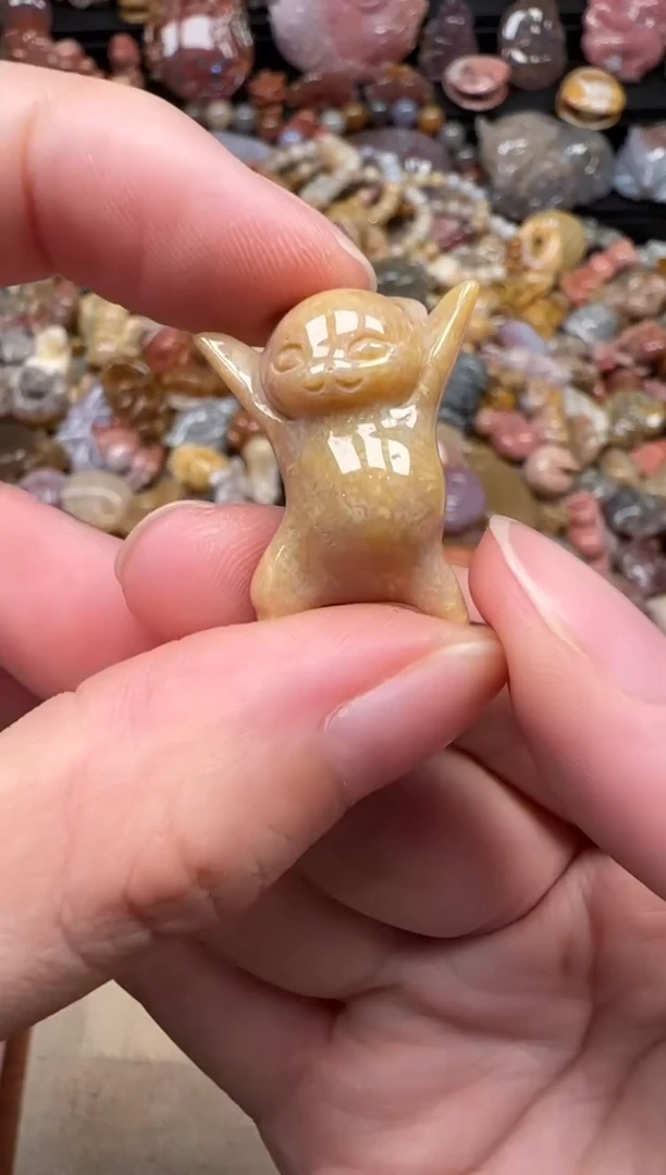 颈饰未镶嵌硅化珊瑚（珊瑚玉）084