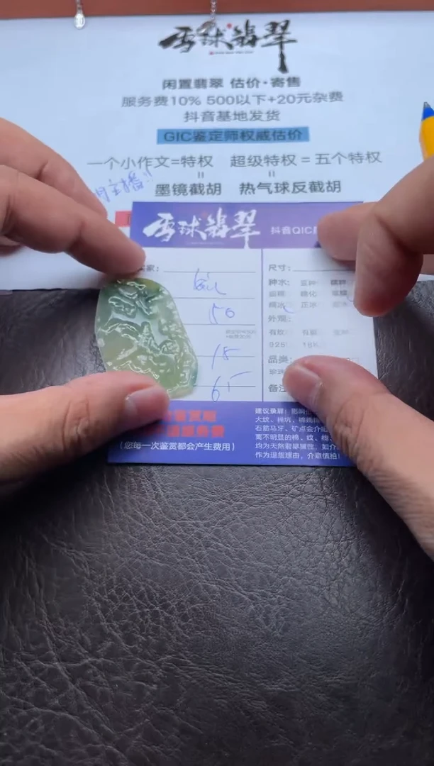 颈饰未镶嵌翡翠17511020144