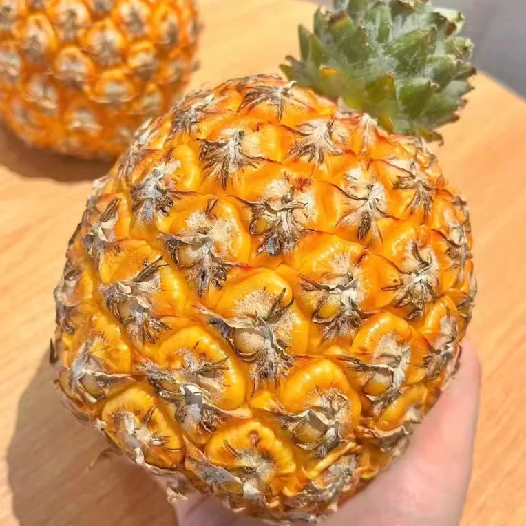 果切芒果凤梨/个 约400g