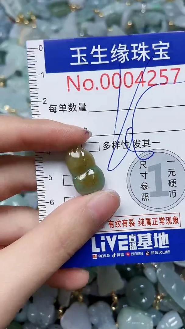 【闪购商品】翡翠颈饰未镶嵌闪购00004257