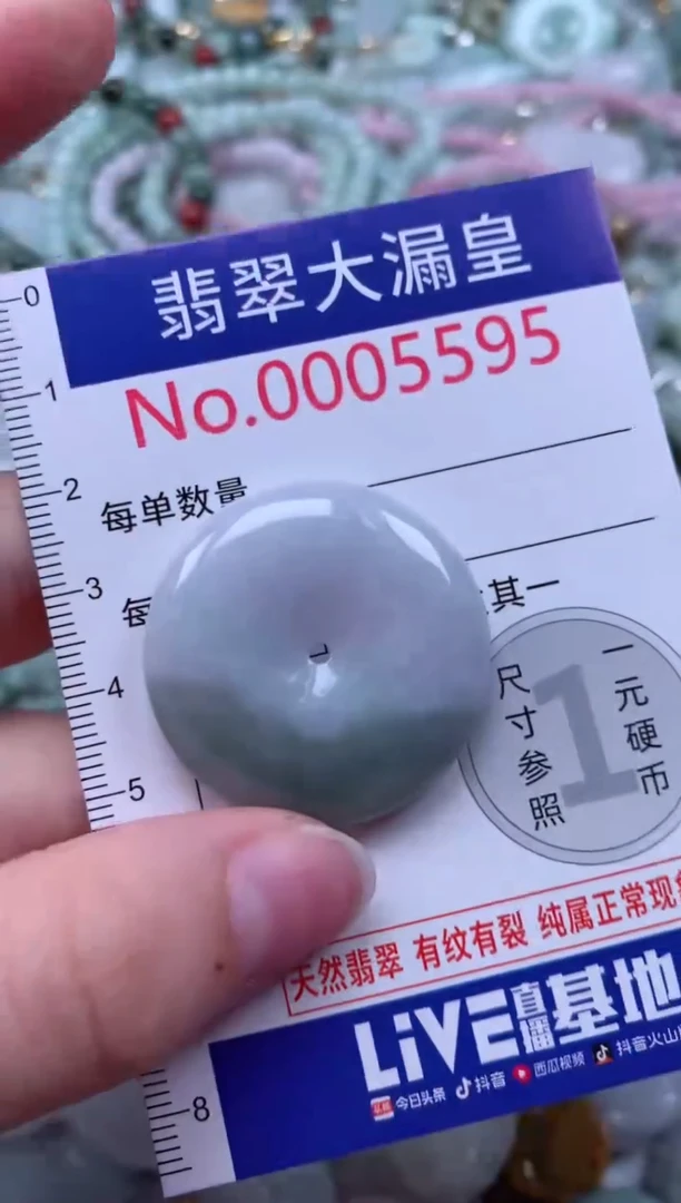 翡翠未镶嵌颈饰5595