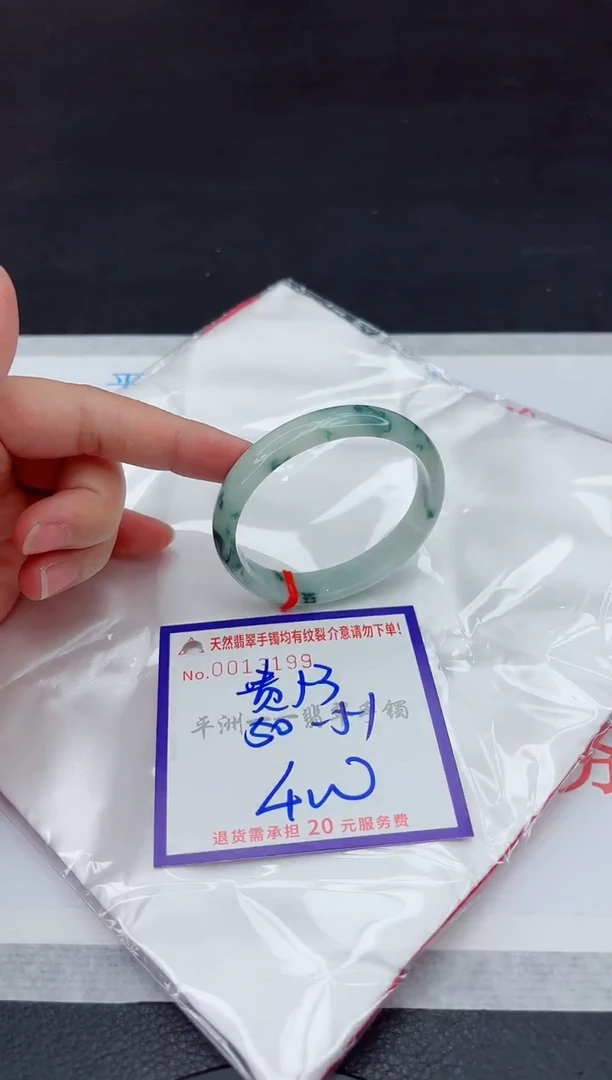 未镶嵌手镯翡翠11111