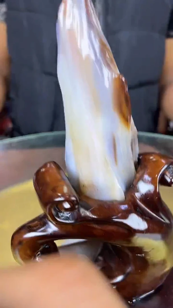 未镶嵌珠宝奇石硅化玉缅甸天然树化玉摆件