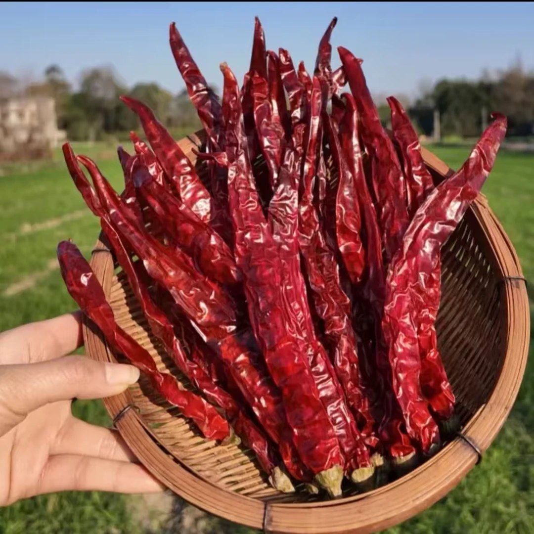 （微辣超香）精选二荆条干辣椒微辣超香红油提色炝炒糍粑辣椒辣椒段