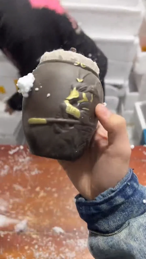 【闪购商品】其他其他其他其他其他