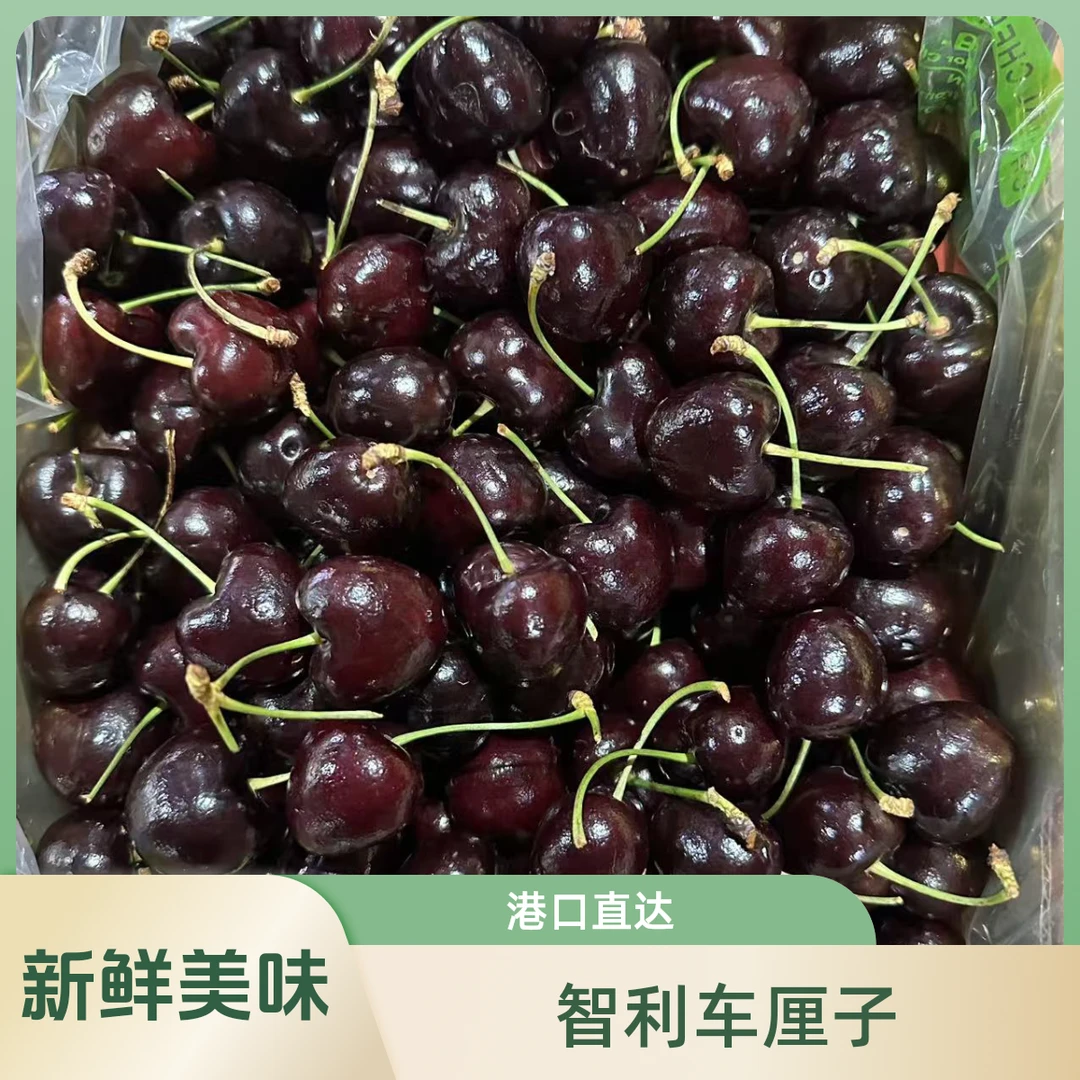 智利【桑提娜】车厘子 3JD 港口直达 5斤 10斤
