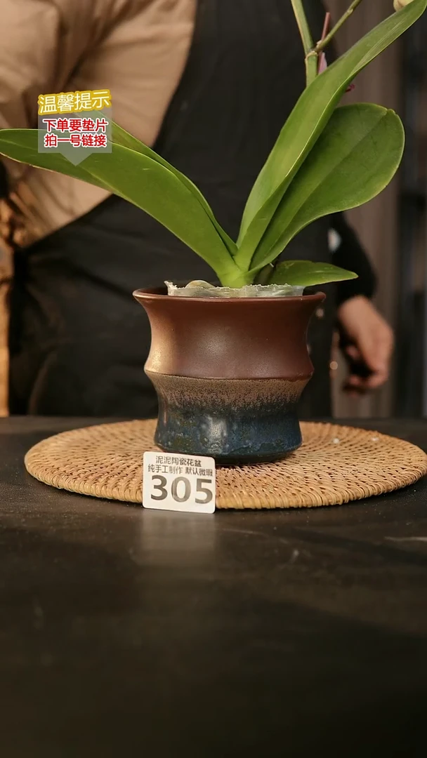 瓷片305内口径约11  外高约11