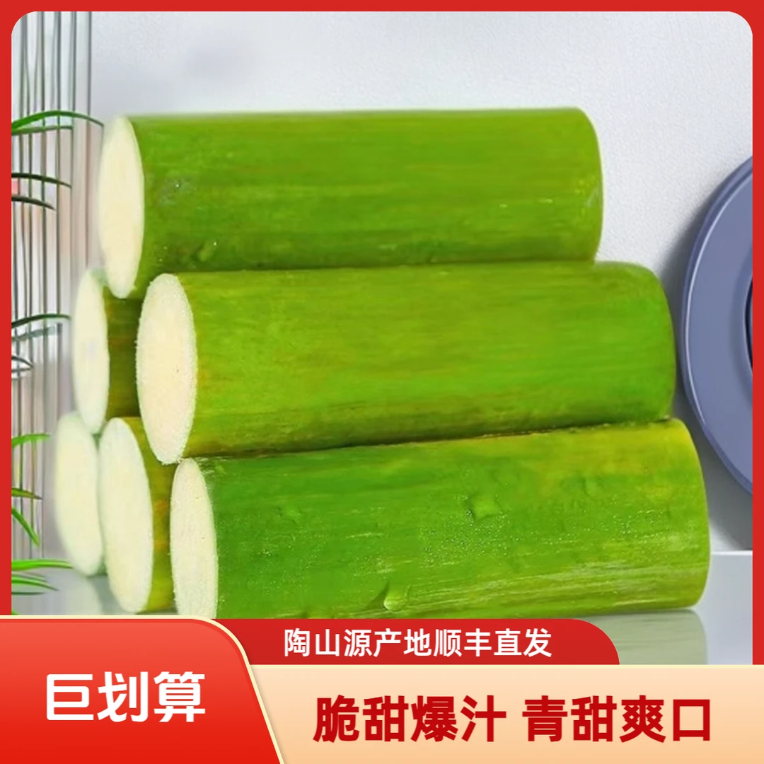 陶山青皮甘蔗去节果肉装新鲜应季水果产地直发顺丰包邮