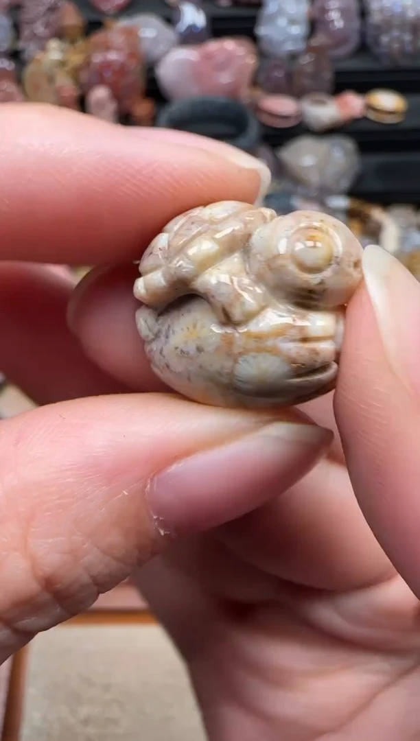 颈饰未镶嵌硅化珊瑚（珊瑚玉）326