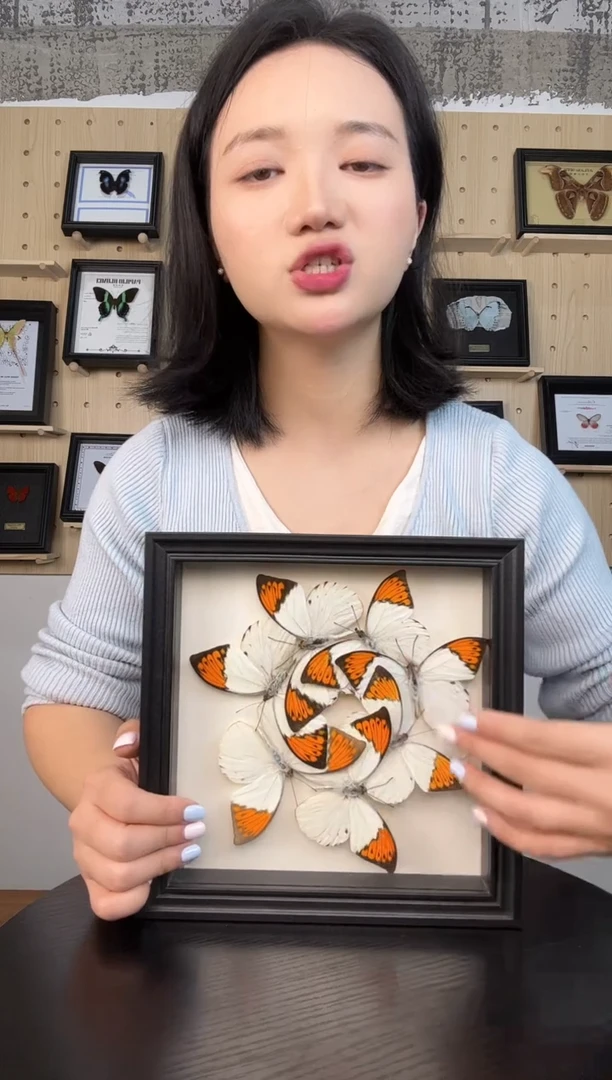 鹤顶粉蝶（蝴蝶装饰画8寸框）