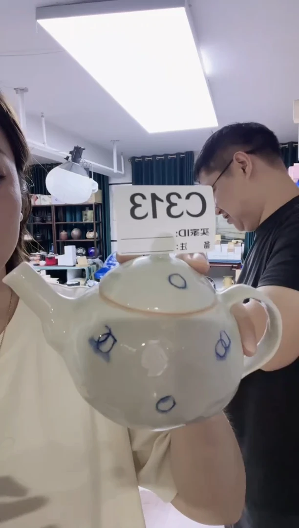 瓷片全新高端瓷器C313壶