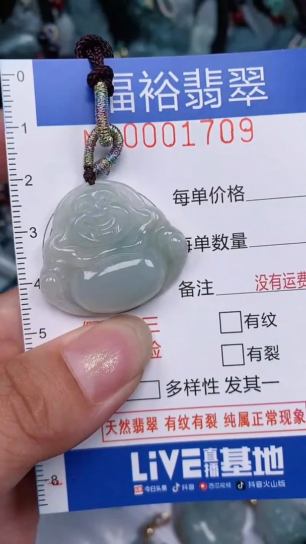 翡翠未镶嵌颈饰...0001709