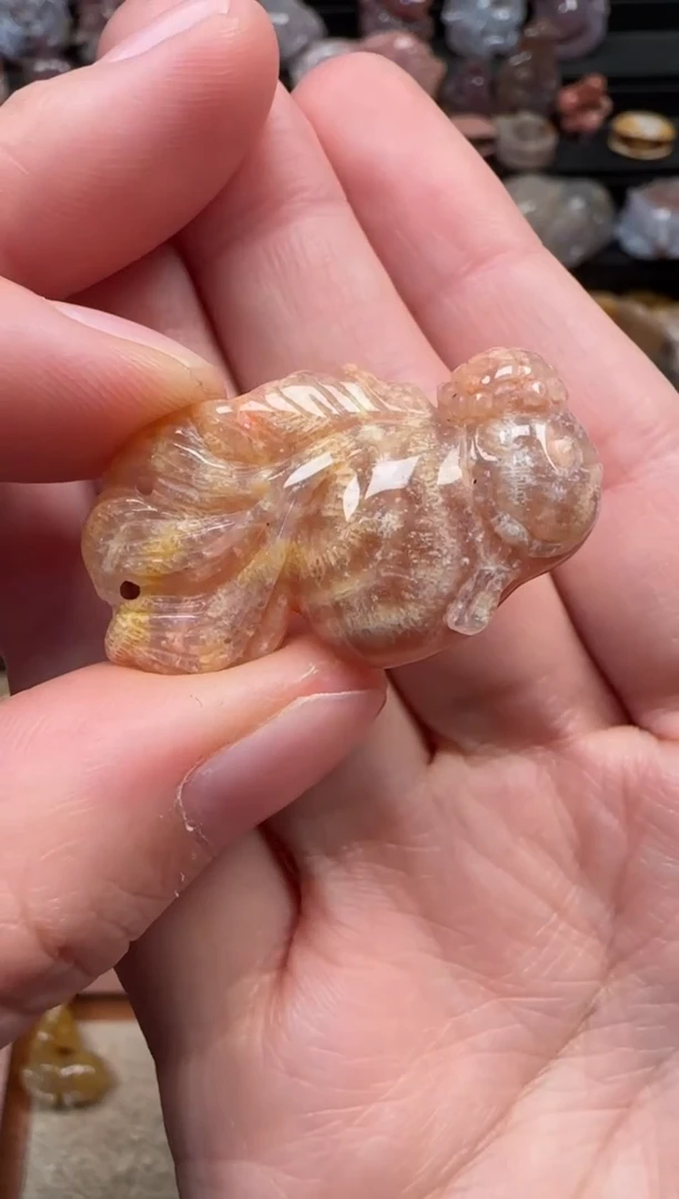 颈饰未镶嵌硅化珊瑚（珊瑚玉）591