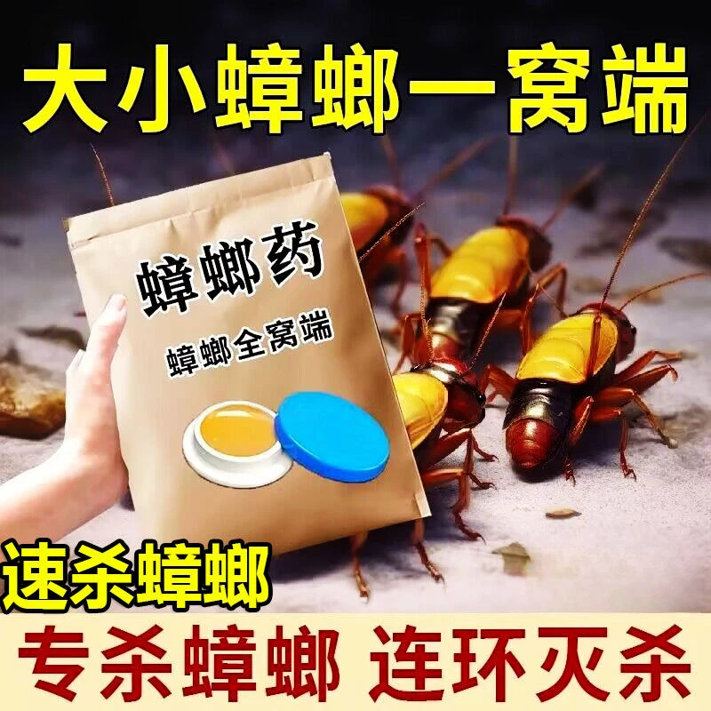 强效蟑螂药家用室内一窝端卧室厨房酒店宿舍克星灭虫一扫光方便贴
