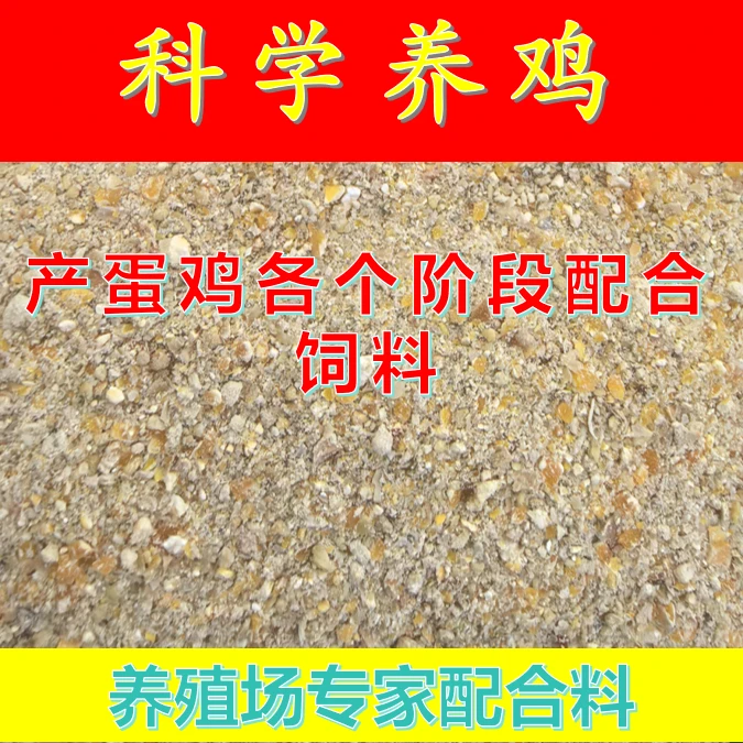 产蛋鸡全价配合口粮包含母鸡生产全部营养经济实惠