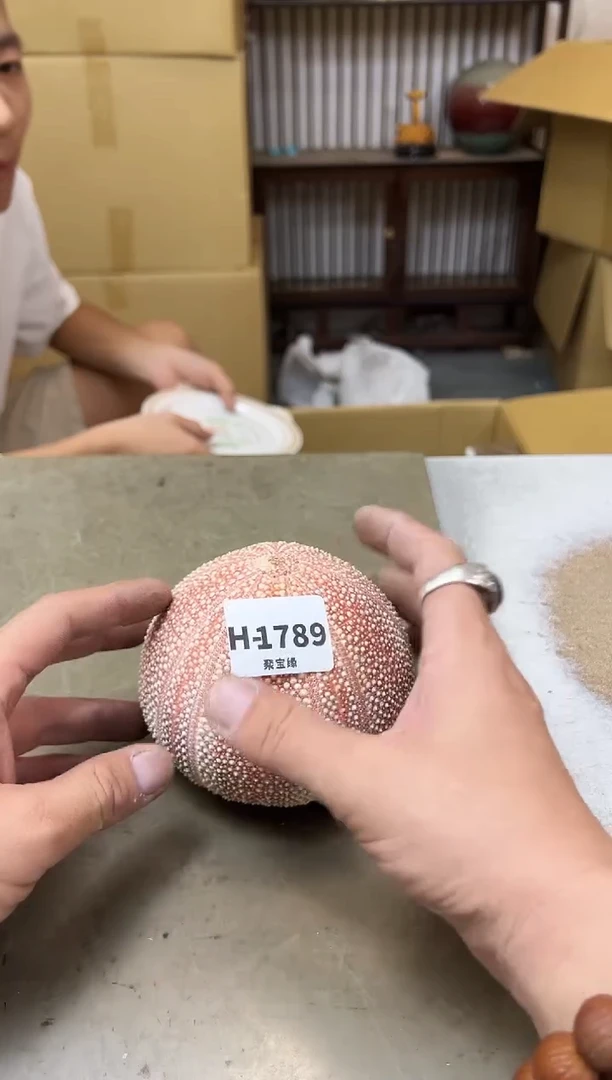瓷片茶*1789聚宝缘海陶精选
