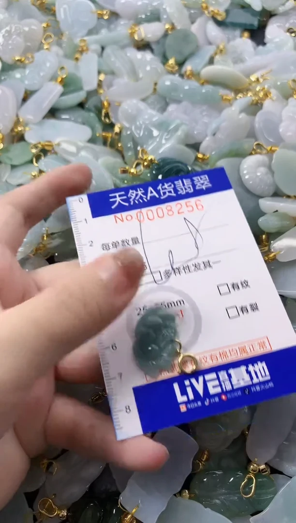 颈饰未镶嵌翡翠天然A货翡翠