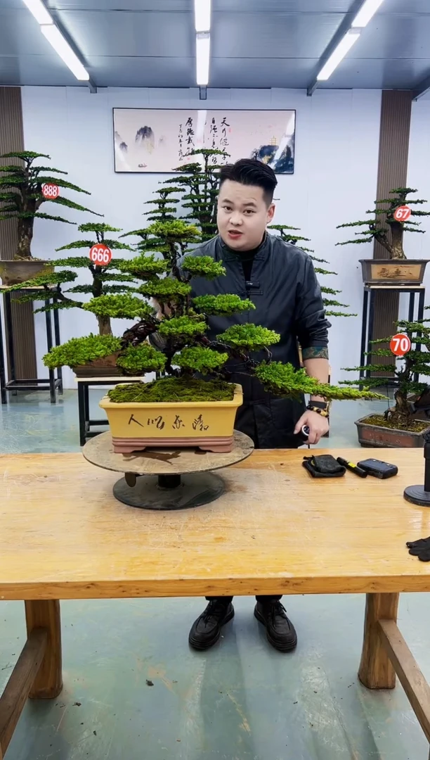 无花朵00000000000