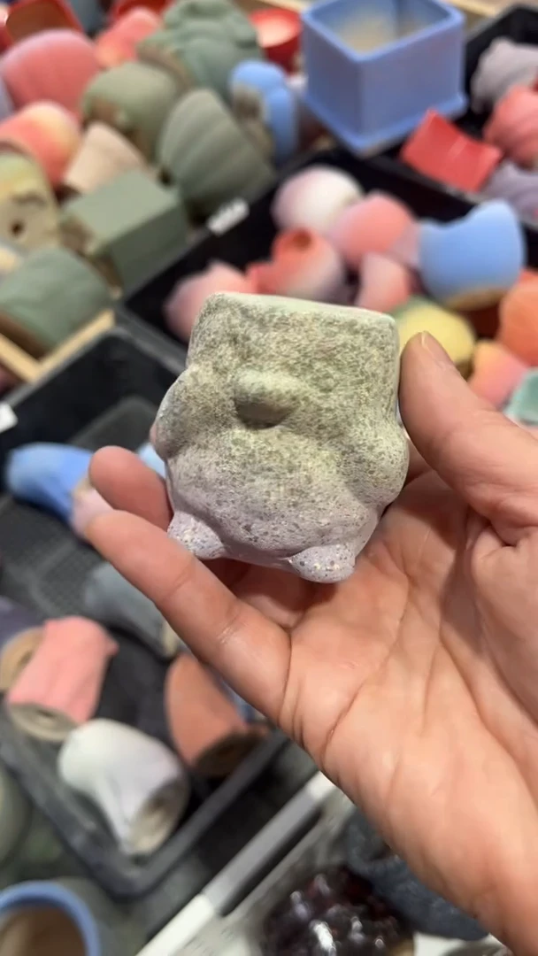 【闪购商品】红陶11