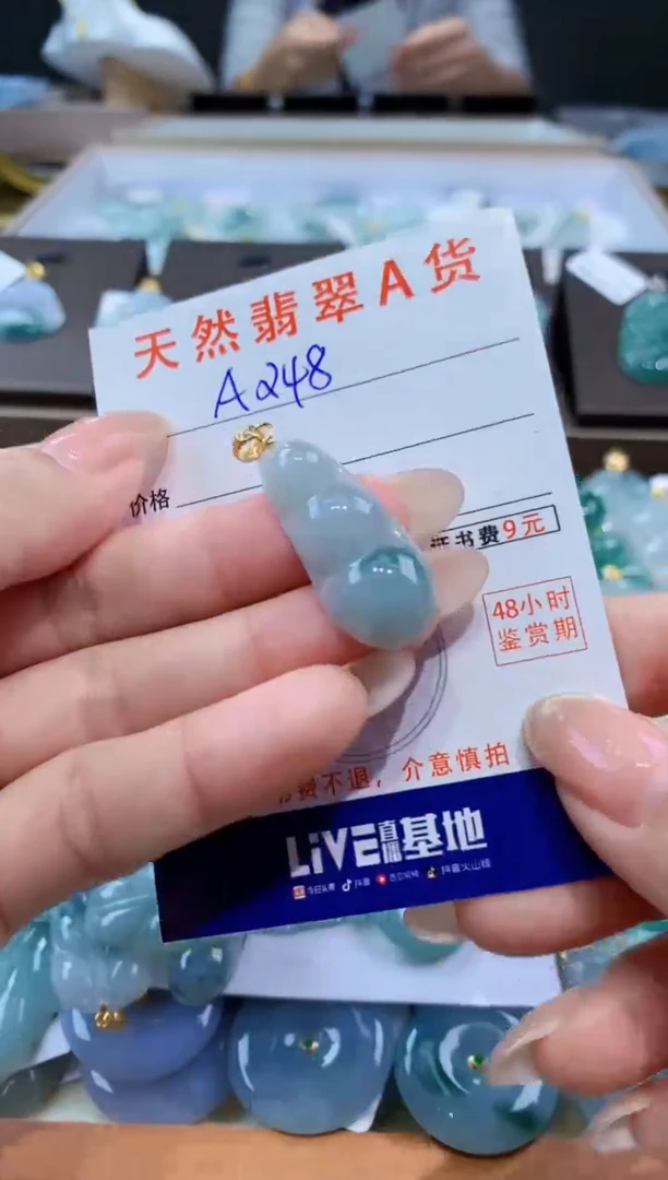 颈饰未镶嵌翡翠天然缅甸翡翠A货挂件