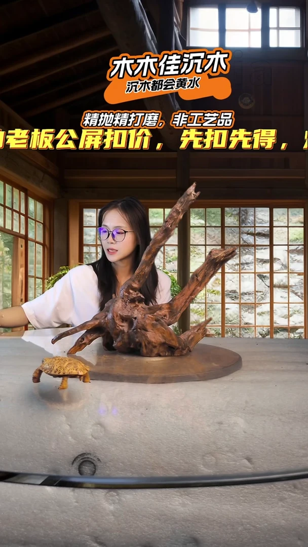 鬼*木木佳鱼缸造景沉木-341