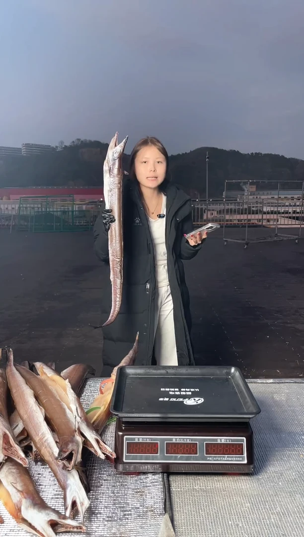 中国大陆3斤风鳗1条