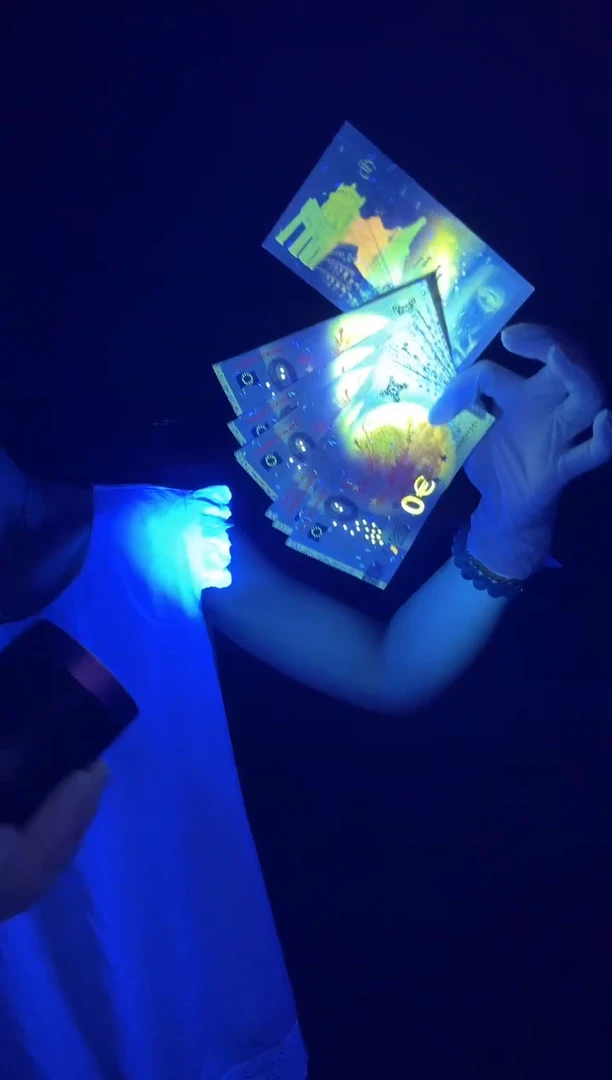 中国龙小司令中国龙小司令中国小龙司令