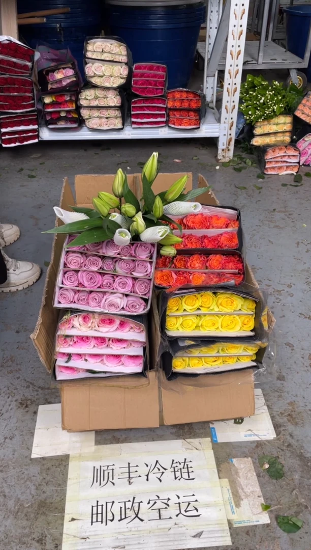 单头玫瑰40枝（任意2个品种）+白色重瓣百合6朵