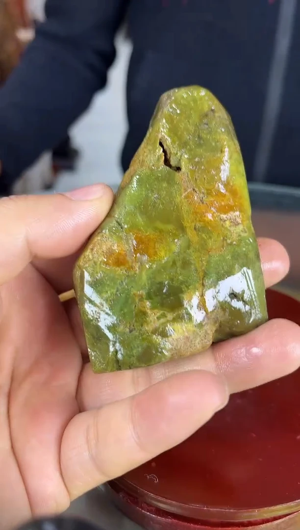 未镶嵌珠宝奇石硅化玉缅甸天然树化玉手把件