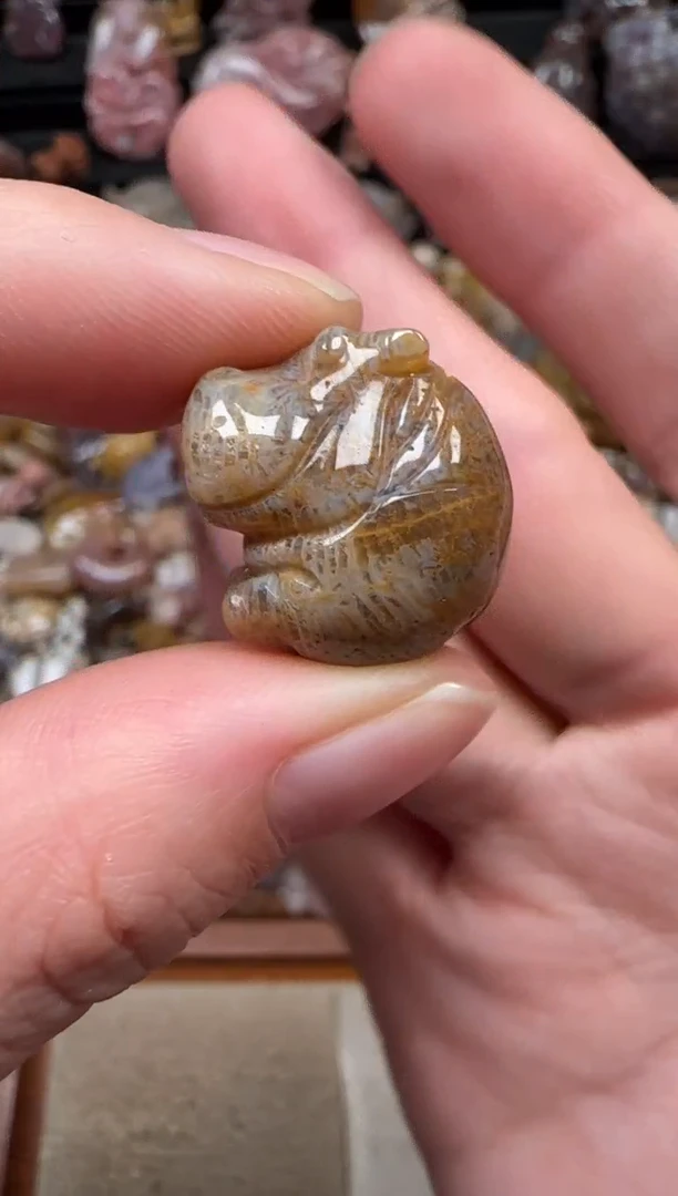 颈饰未镶嵌硅化珊瑚（珊瑚玉）102