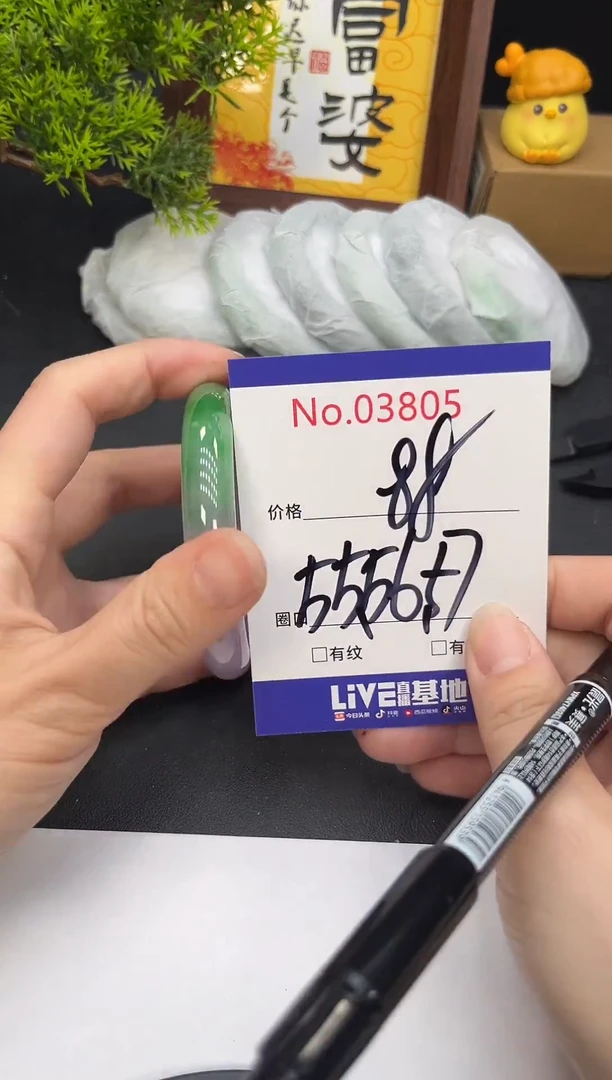 未镶嵌手镯翡翠3805