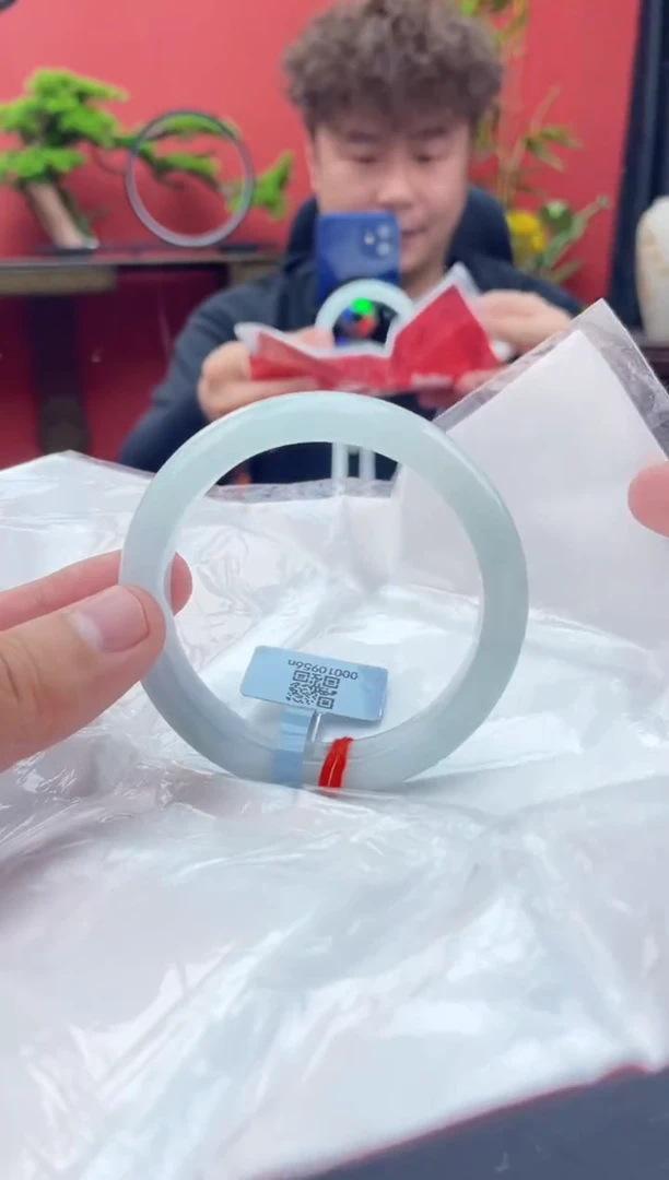 未镶嵌手镯翡翠4