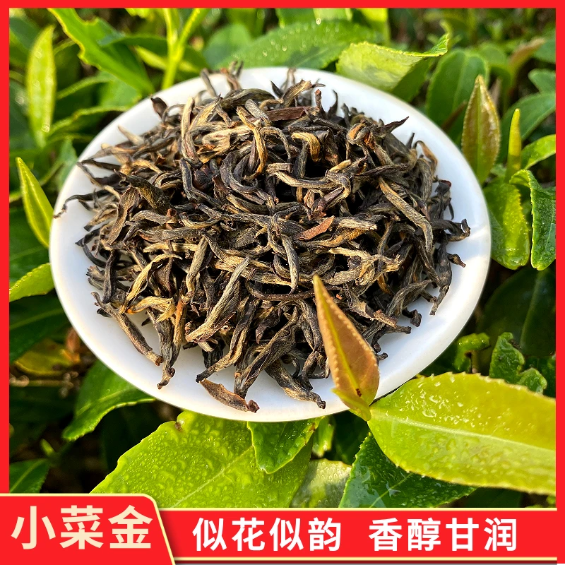 【高香小菜金】25新茶头春头采菜茶金骏眉似花似韵甘醇茶叶甘润