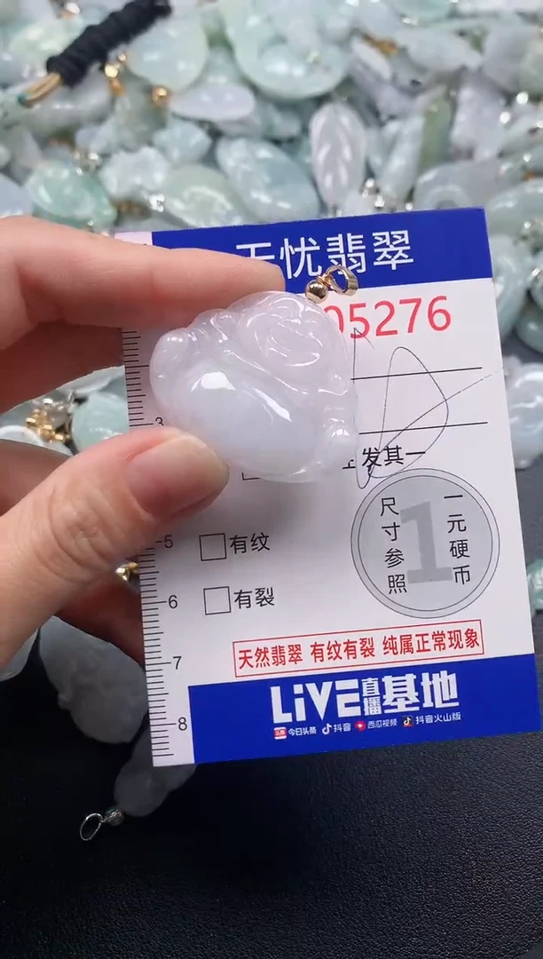 吊坠(不含链)未镶嵌翡翠5276