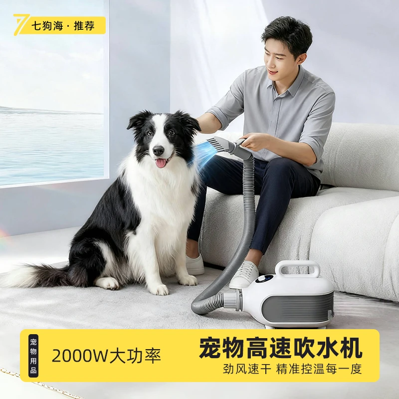 宠物吹毛机狗狗吹毛神器智能烘干机宠物店洗澡大功率速干吹风机器