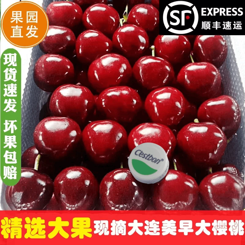 大连美早樱桃8J5斤特大号新鲜水果顺丰空运 个大饱满