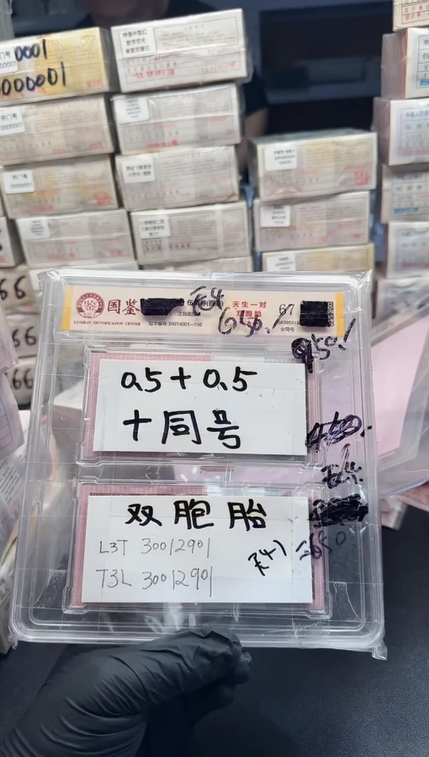 .5同面值十同号两刀无4