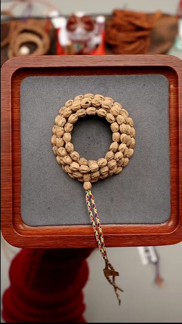 吊坠柏香籽/百香籽复活岛原装6.0