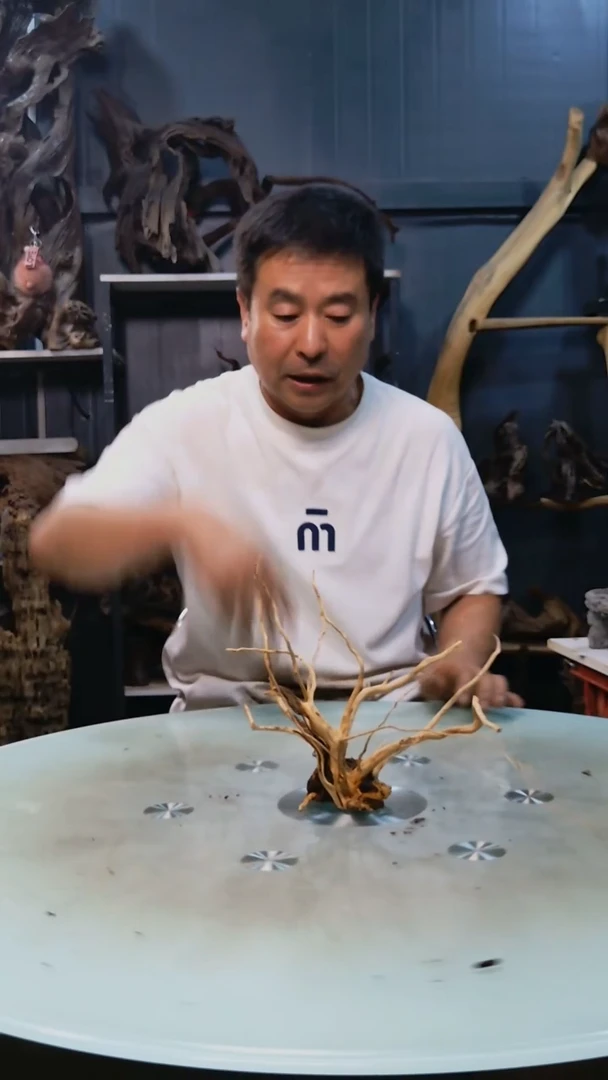537清香阁清香阁清香阁