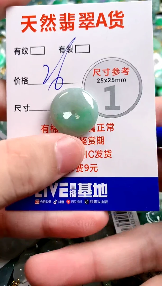 翡翠未镶嵌颈饰24000347