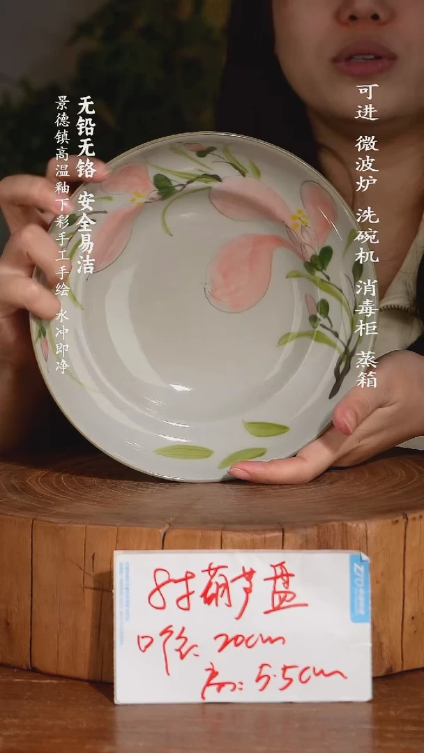 碗陶瓷景德镇高温瓷釉下彩手绘陶瓷